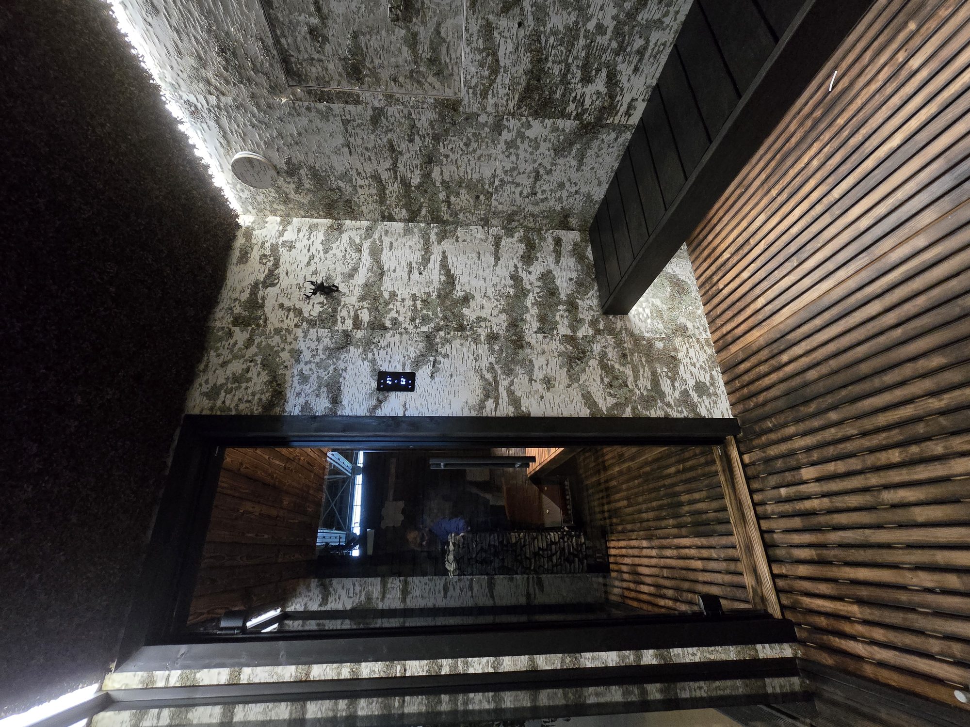Moody cedar and stone interior