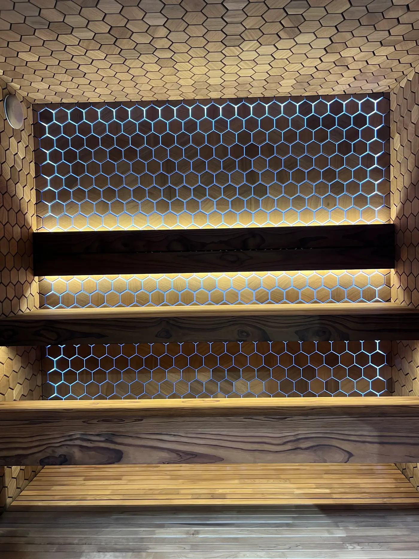 The honeycomb wall traced in ice-blue light